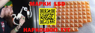 прущие крисы Будённовск