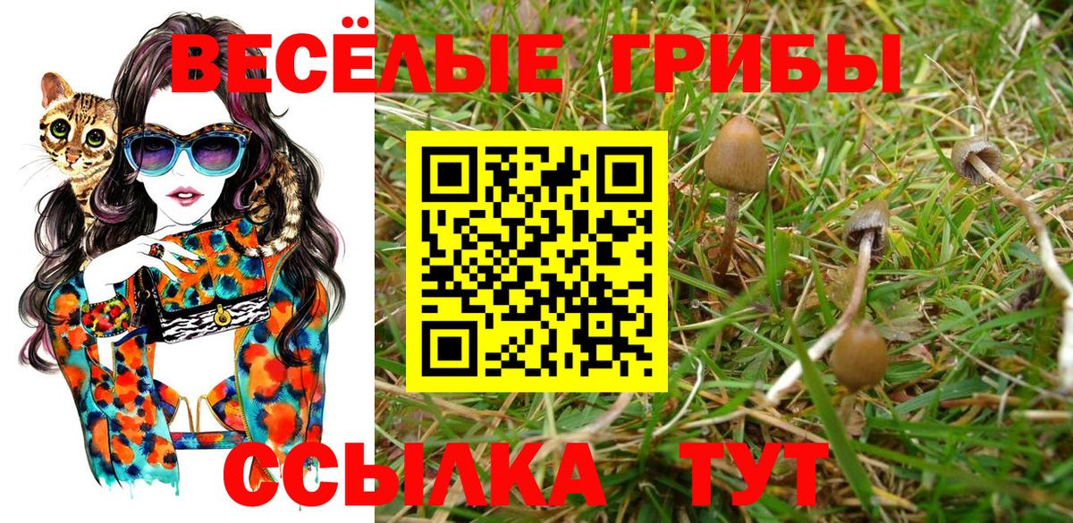 Трёхгорный  Галлюциногенные грибы прущие грибы  Галлюциногенные грибы Psilocybe  Вход с VPN 